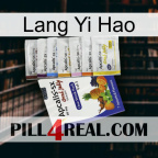 Lang Yi Hao 11